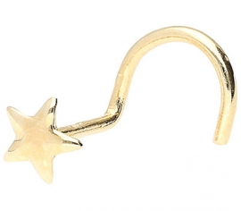 Nasenpiercing Gold Stern