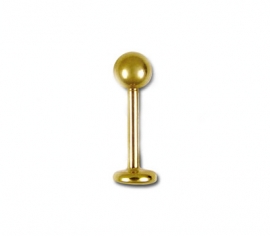 Labret Piercing 1,2 mm Gold
