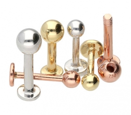 Labret Piercing 1,2 mm Gold
