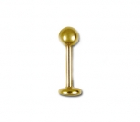 Labret Piercing 1,6 mm Gold