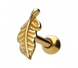 Gold Ohrpiercing Blatt